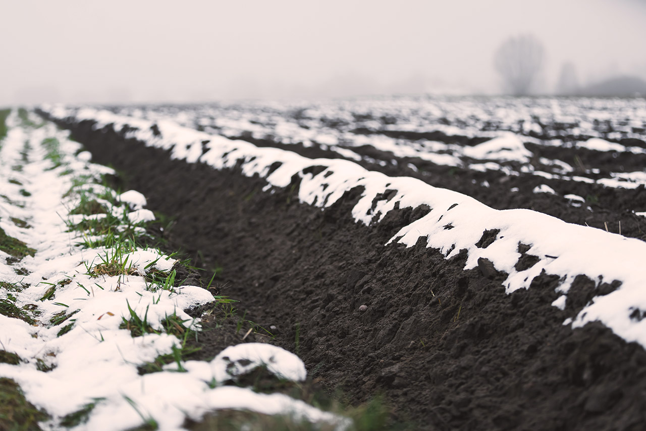 Landwirtschaft im Februar: Die unsichtbare Arbeit für eine starke Saison