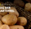 Kartoffeln stecken: Pflanzzeit, Bauernregel und 3 Praxis-Tipps