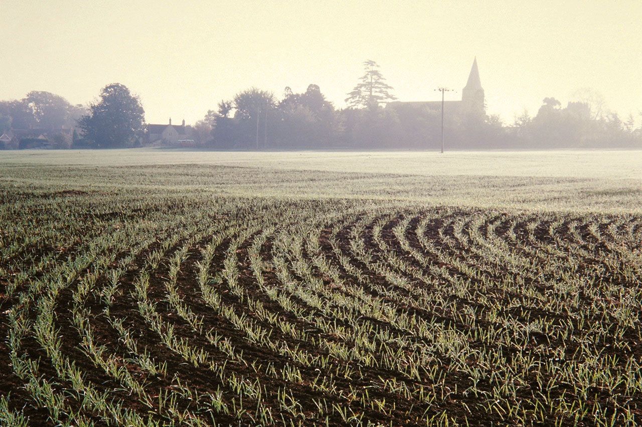 Die Eisheiligen: Spätfrost im Blick, Bodenbearbeitung rechtzeitig planen